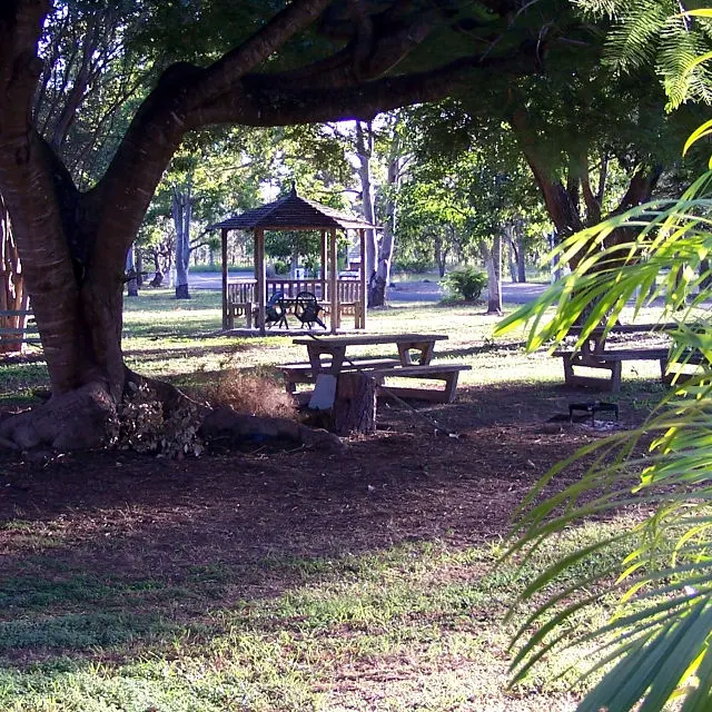 Trinity Plains Tourist Park - 2